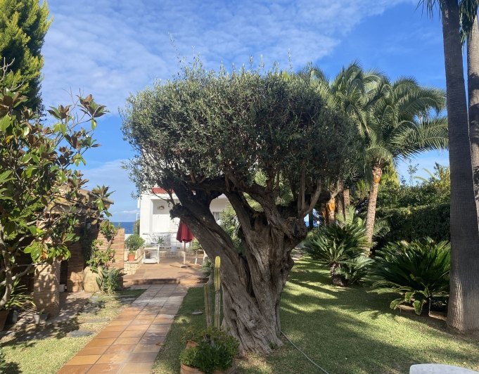 Espectacular Villa en Primera Línea del Mar